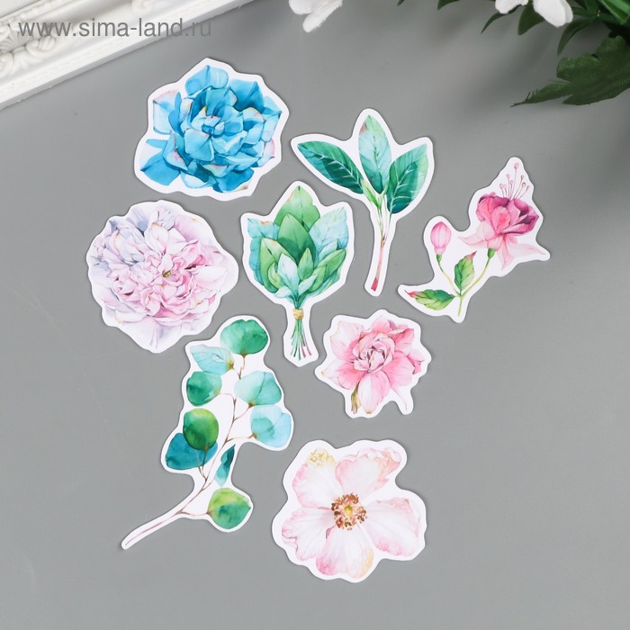 Набор высечек для скрапбукинга "Цветы. Морской прибой" 41 элемент
Набор высечек для скрапбукинга "Цветы. Морской прибой" 41 элемент