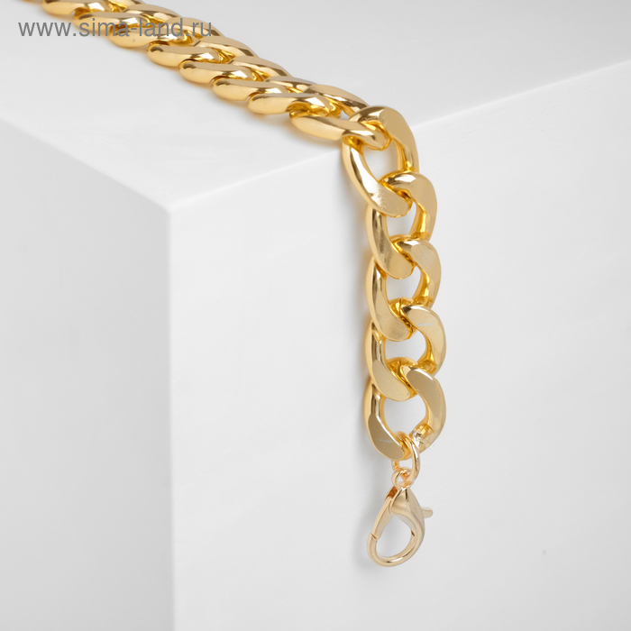 Браслет металл "Цепь" голден плоская, цвет золото, 20см
Браслет металл "Цепь" голден плоская, цвет золото, 20см