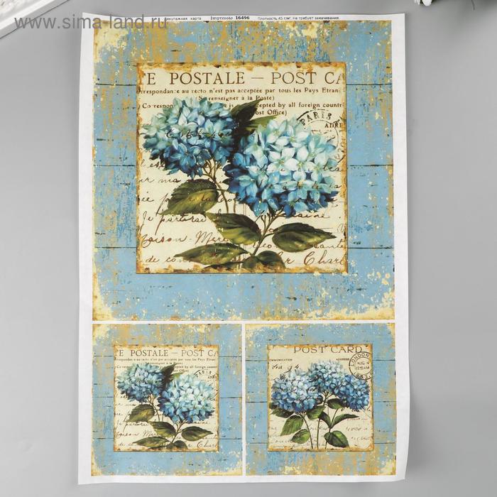 Декупажная карта "Голубые цветы" А4, 45 г/м2
Декупажная карта "Голубые цветы" А4, 45 г/м2