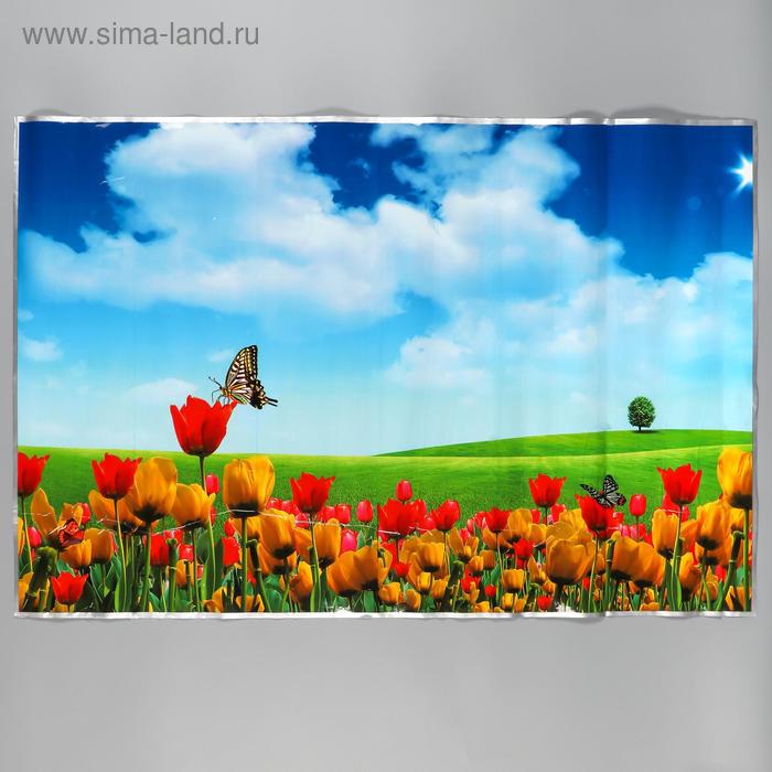Наклейка на кафельную плитку "Поле с тюльпанами" 90х60 см
Наклейка на кафельную плитку "Поле с тюльпанами" 90х60 см