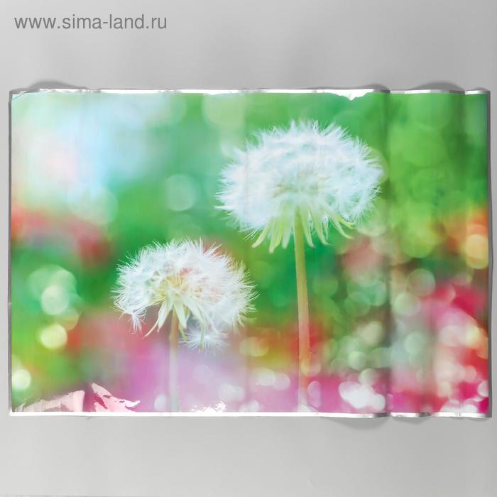 Наклейка на кафельную плитку "Одуванчики" 90х60 см
Наклейка на кафельную плитку "Одуванчики" 90х60 см