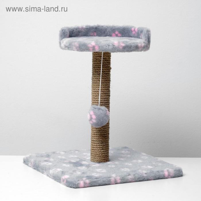 Когтеточка малая "Арена" с игрушкой, 40 х 40х 55 см, джут, серая с розовыми лапками
Когтеточка малая "Арена" с игрушкой, 40 х 40х 55 см, джут, серая с розовыми лапками