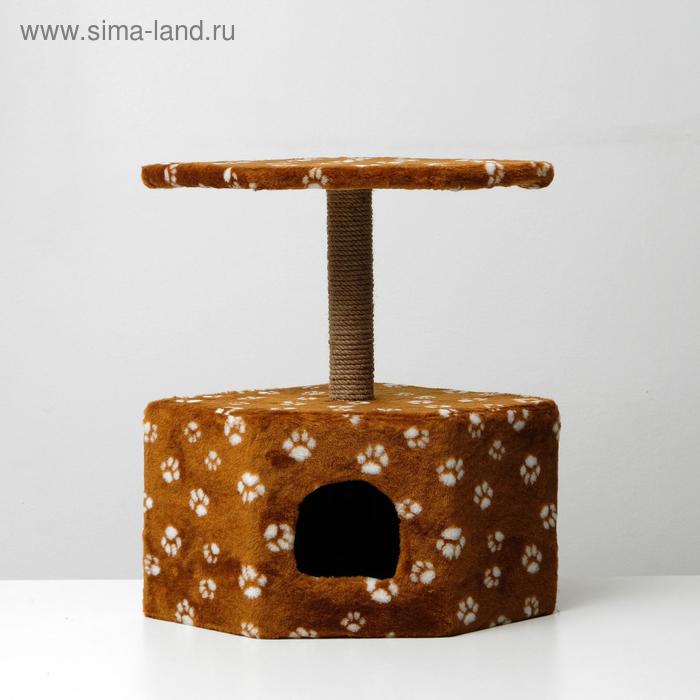 Домик-когтеточка "Пятигранный", 50 х 40 х 59 см, искусственный мех, коричневая с лапками
Домик-когтеточка "Пятигранный", 50 х 40 х 59 см, искусственный мех, коричневая с лапками