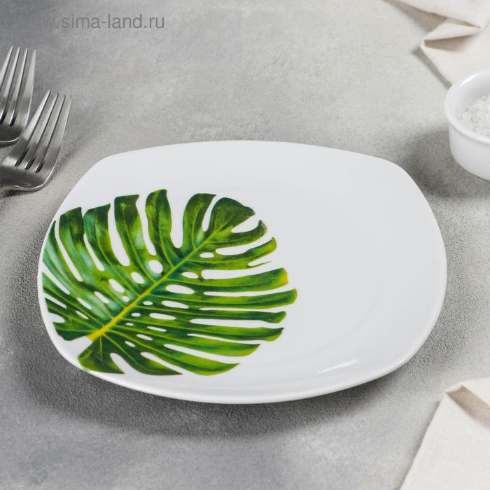 Тарелка мелкая «Монстера», d=19 см
Тарелка мелкая «Монстера», d=19 см