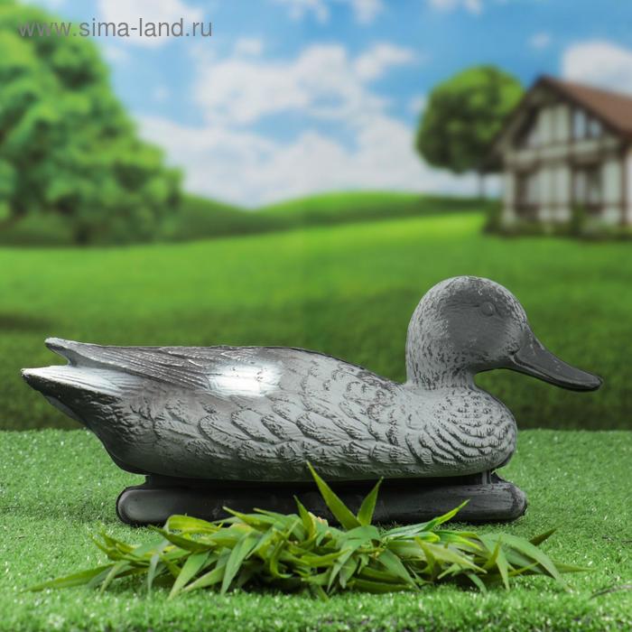 Фигура подсадная "Утка серая" селезень, 36х15х15см
Фигура подсадная "Утка серая" селезень, 36х15х15см