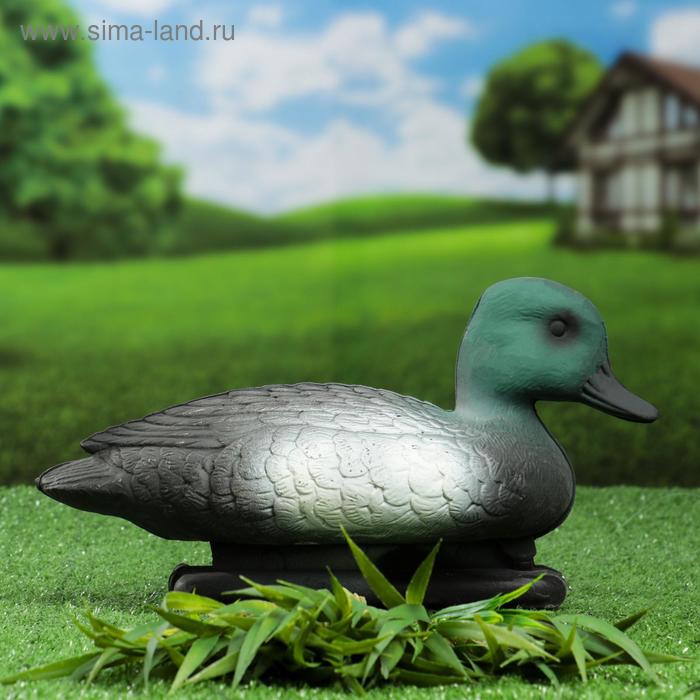 Фигура подсадная "Чернеть морская" селезень
Фигура подсадная "Чернеть морская" селезень