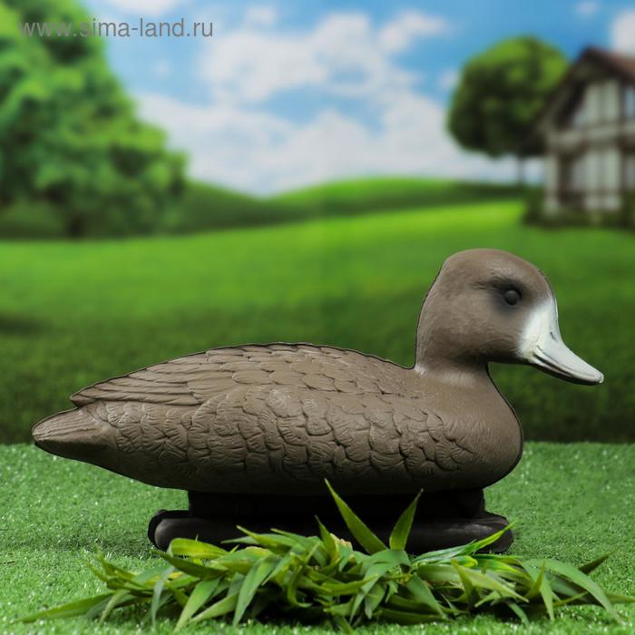 Фигура подсадная "Чернеть морская" утка
Фигура подсадная "Чернеть морская" утка