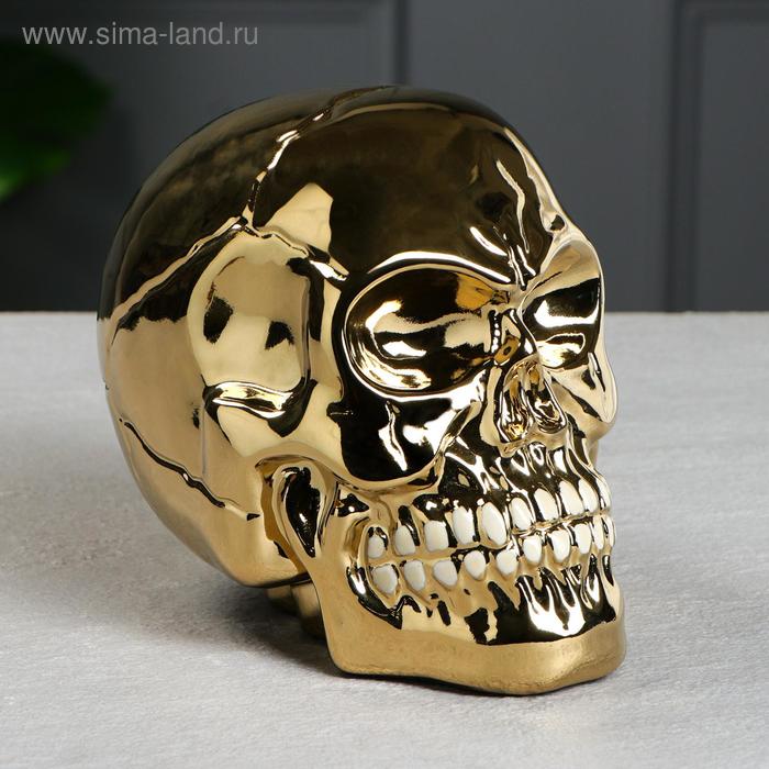 Копилка "Череп", золотистая, керамика, 16 см
Копилка "Череп", золотистая, керамика, 16 см