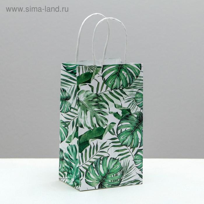 Пакет подарочный крафтовый «Тропики», 12 × 21 × 9 см
Пакет подарочный крафтовый «Тропики», 12 × 21 × 9 см