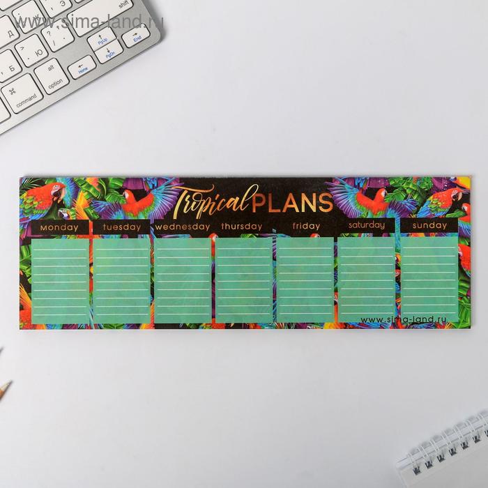 Планинг прямоугольный 30 см 50 л Tropical Plans
Планинг прямоугольный 30 см 50 л Tropical Plans