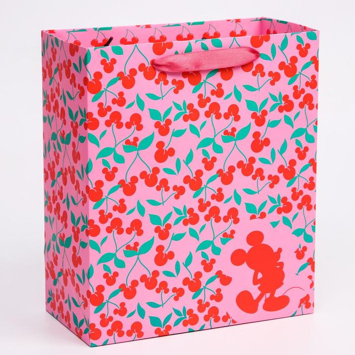 Пакет ламинат вертикальный "Микки", Микки Маус, 23х27х11,5 см
Пакет ламинат вертикальный "Микки", Микки Маус, 23х27х11,5 см