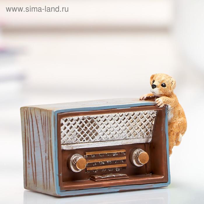 Сувенир полистоун миниатюра "Щенок и радиоприёмник" 5,3х3,5х8 см
Сувенир полистоун миниатюра "Щенок и радиоприёмник" 5,3х3,5х8 см