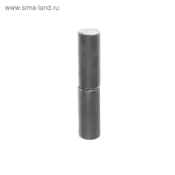 фото Петля гаражная, 12х60 мм