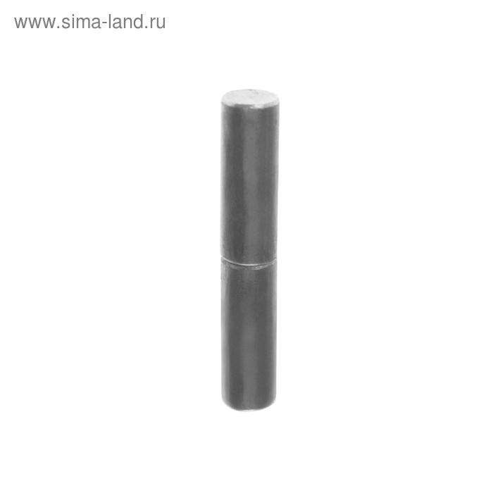 Петля гаражная, 14х80 мм
Петля гаражная, 14х80 мм