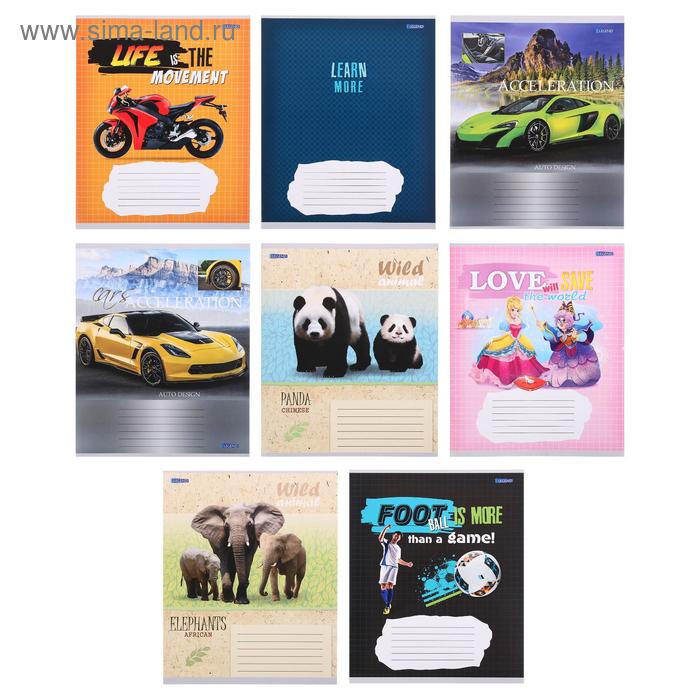 Брошюра для записей, 18 листов в клетку Legend, обложка мелованная бумага, блок 55 г/м2, белизна 75-80% (серые листы), МИКС
Брошюра для записей, 18 листов в клетку Legend, обложка мелованная бумага, блок 55 г/м2, белизна 75-80% (серые листы), МИКС