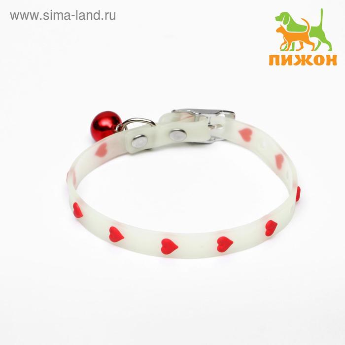 Ошейник, светящийся в темноте, "Любовь" (люминесцентный пластик), 28 х1 см, ОШ 18-25 см, микс цветов
Ошейник, светящийся в темноте, "Любовь" (люминесцентный пластик), 28 х1 см, ОШ 18-25 см, микс цветов