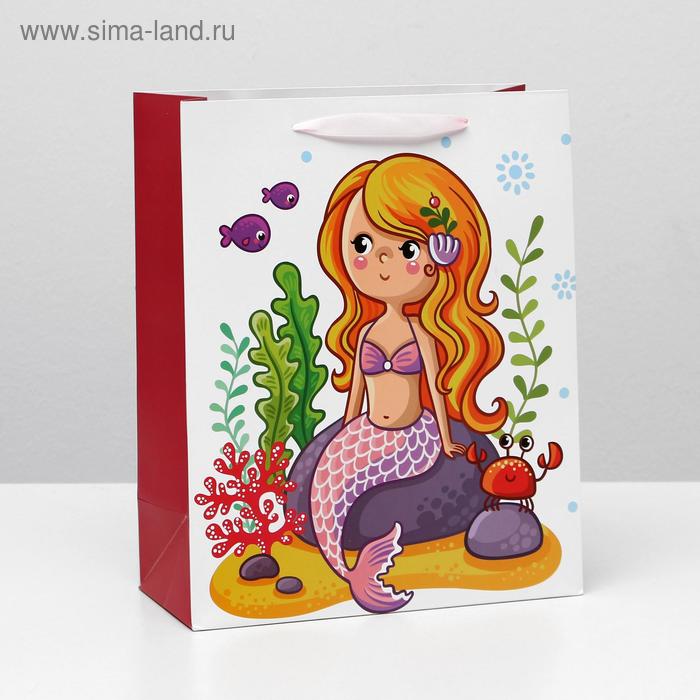 Пакет ламинированный, 26 x 32 x 12 см
Пакет ламинированный, 26 x 32 x 12 см