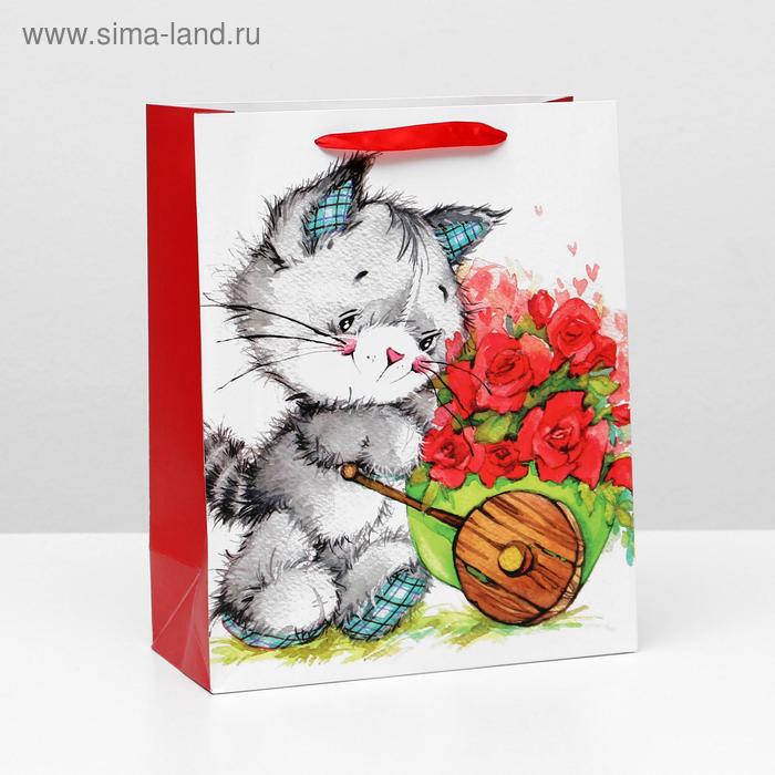 Пакет ламинированный, 26 x 32 x 12 см
Пакет ламинированный, 26 x 32 x 12 см