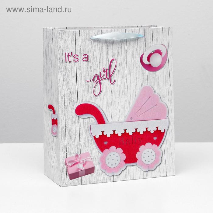 Пакет ламинированный, 26 x 32 x 12 см 
Пакет ламинированный, 26 x 32 x 12 см