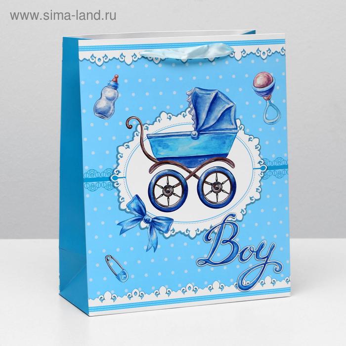 Пакет ламинированный, 26 x 32 x 12 см
Пакет ламинированный, 26 x 32 x 12 см