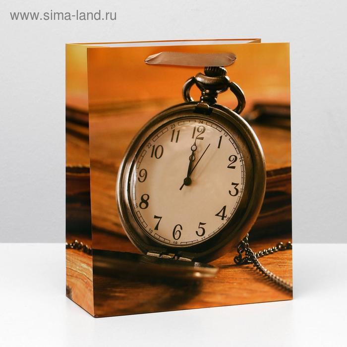 Пакет ламинированный, 26 x 32 x 12 см
Пакет ламинированный, 26 x 32 x 12 см