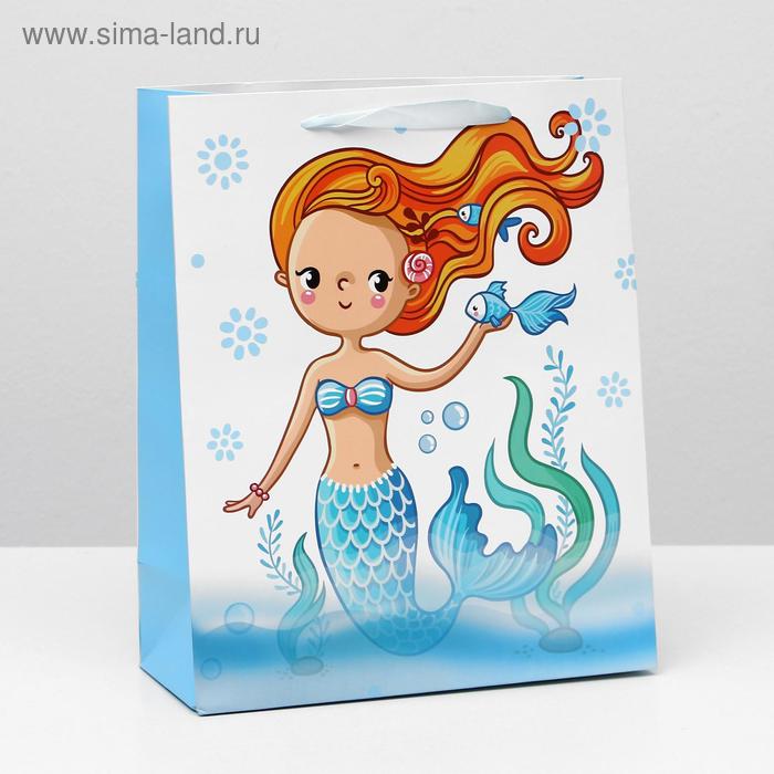 Пакет ламинированный, 26 x 32 x 12 см
Пакет ламинированный, 26 x 32 x 12 см