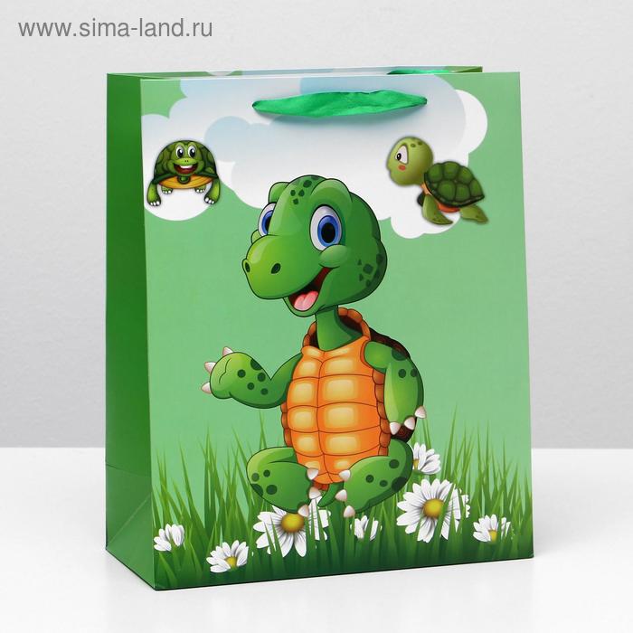 Пакет ламинированный, 26 x 32 x 12 см
Пакет ламинированный, 26 x 32 x 12 см