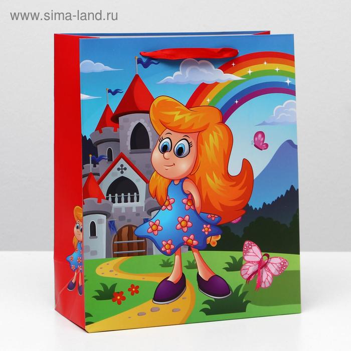 Пакет ламинированный, 26 x 32 x 12 см 
Пакет ламинированный, 26 x 32 x 12 см