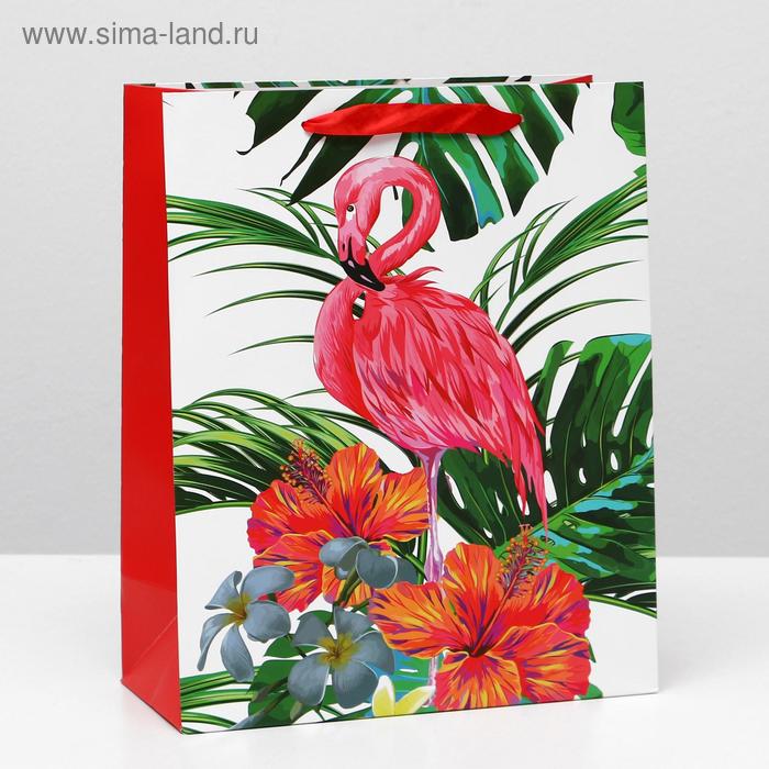 Пакет ламинированный, 26 x 32 x 12 см
Пакет ламинированный, 26 x 32 x 12 см