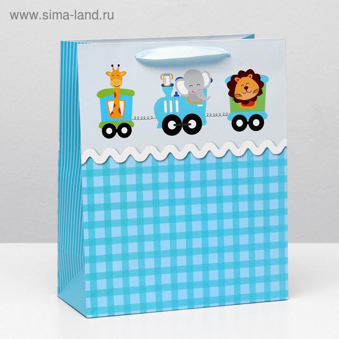 Пакет ламинированный, 26 x 32 x 12 см
Пакет ламинированный, 26 x 32 x 12 см