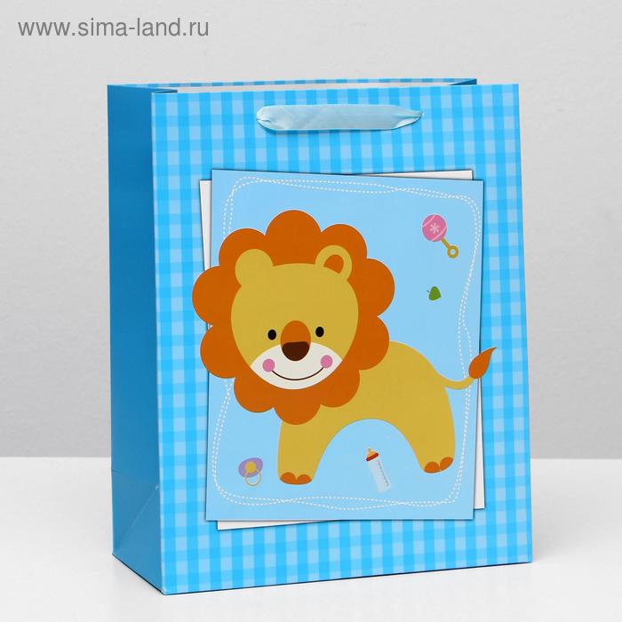 Пакет ламинированный, 26 x 32 x 12 см
Пакет ламинированный, 26 x 32 x 12 см