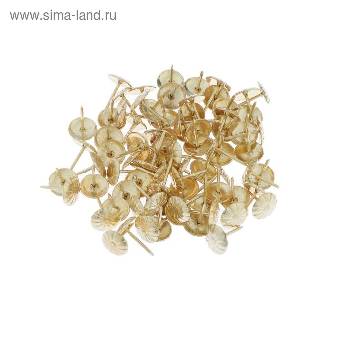 Гвозди декор. 10,5мм ромаш. латунь 500 шт
Гвозди декор. 10,5мм ромаш. латунь 500 шт