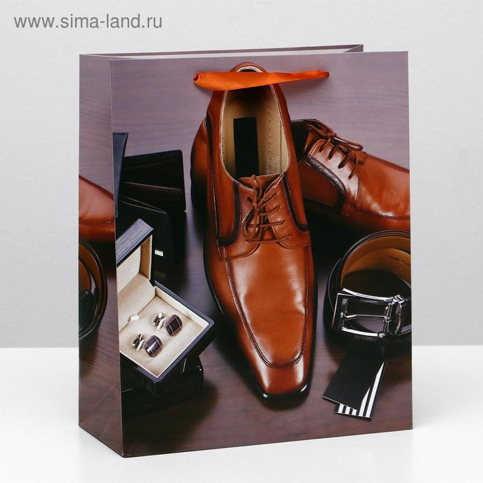 Пакет ламинированный, 26 x 32 x 12 см 
Пакет ламинированный, 26 x 32 x 12 см