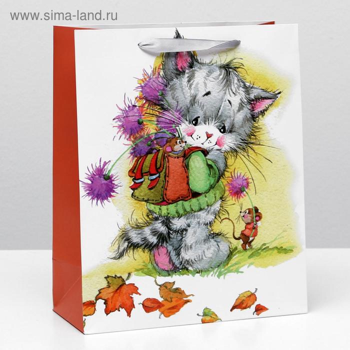 Пакет ламинированный, 26 x 32 x 12 см
Пакет ламинированный, 26 x 32 x 12 см