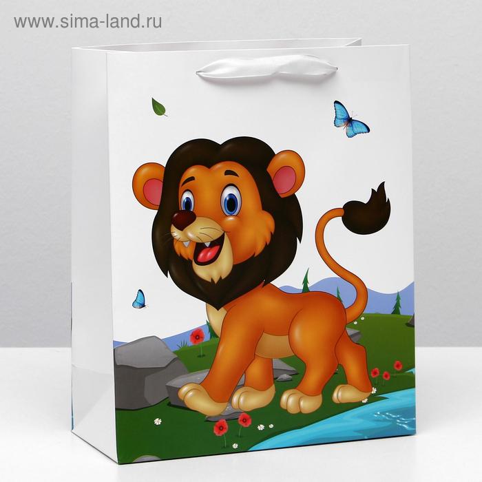 Пакет ламинированный, 26 x 32 x 12 см
Пакет ламинированный, 26 x 32 x 12 см