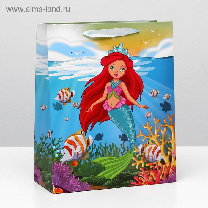 Пакет ламинированный, 26 x 32 x 12 см
Пакет ламинированный, 26 x 32 x 12 см