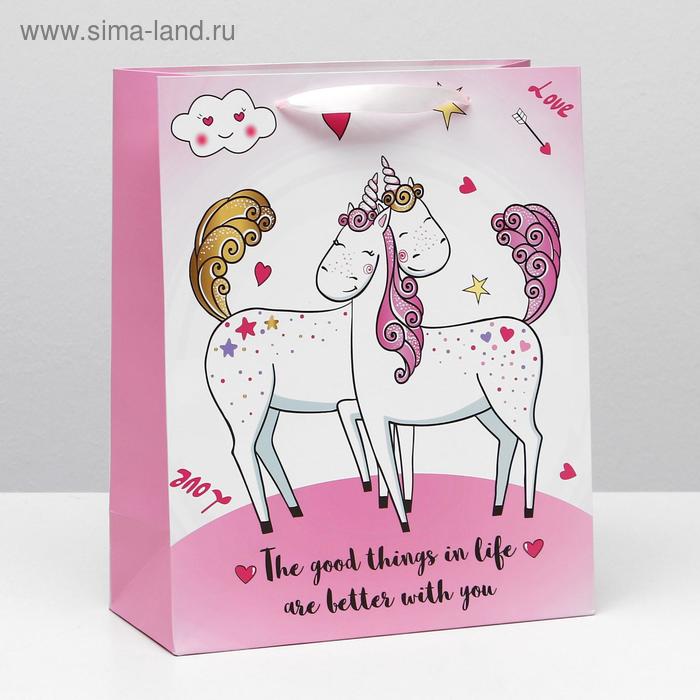 Пакет ламинированный, 26 x 32 x 12 см 
Пакет ламинированный, 26 x 32 x 12 см