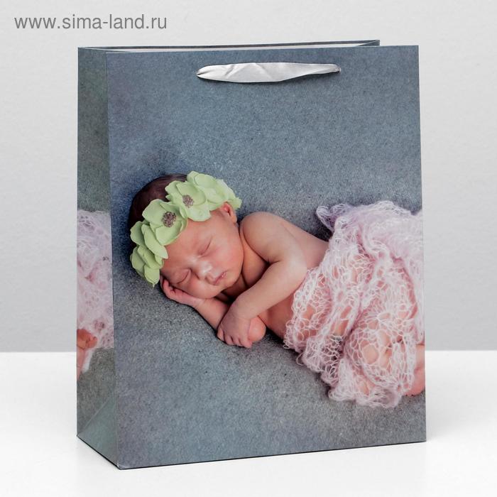 Пакет ламинированный, 26 x 32 x 12 см
Пакет ламинированный, 26 x 32 x 12 см