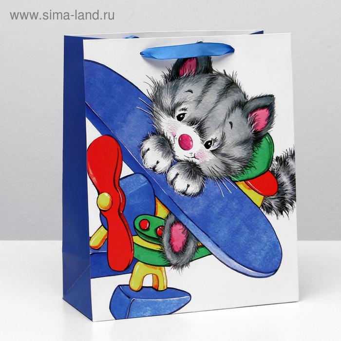 Пакет ламинированный, 26 x 32 x 12 см
Пакет ламинированный, 26 x 32 x 12 см