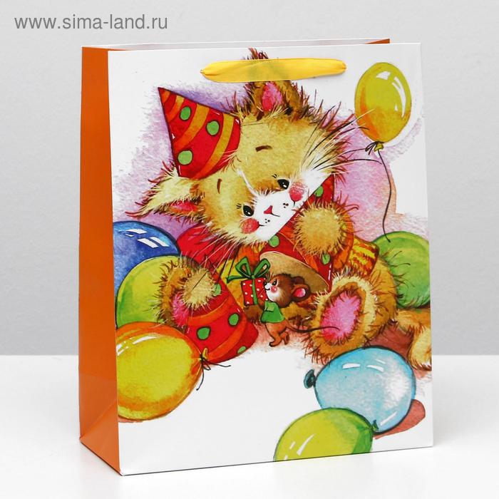 Пакет ламинированный, 26 x 32 x 12 см
Пакет ламинированный, 26 x 32 x 12 см