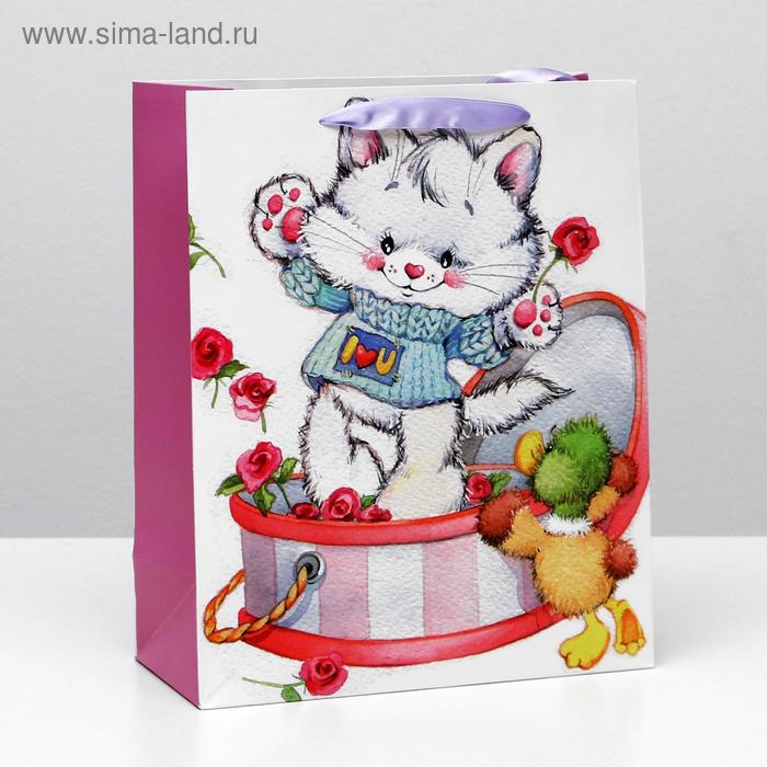 Пакет ламинированный, 26 x 32 x 12 см
Пакет ламинированный, 26 x 32 x 12 см