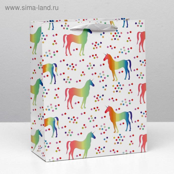 Пакет ламинированный, 26 x 32 x 12 см 
Пакет ламинированный, 26 x 32 x 12 см