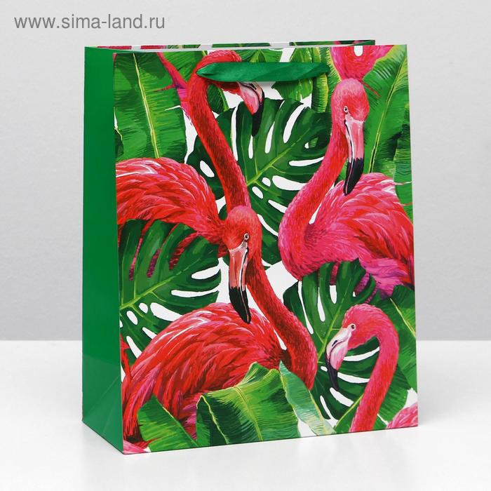 Пакет ламинированный, 26 x 32 x 12 см
Пакет ламинированный, 26 x 32 x 12 см