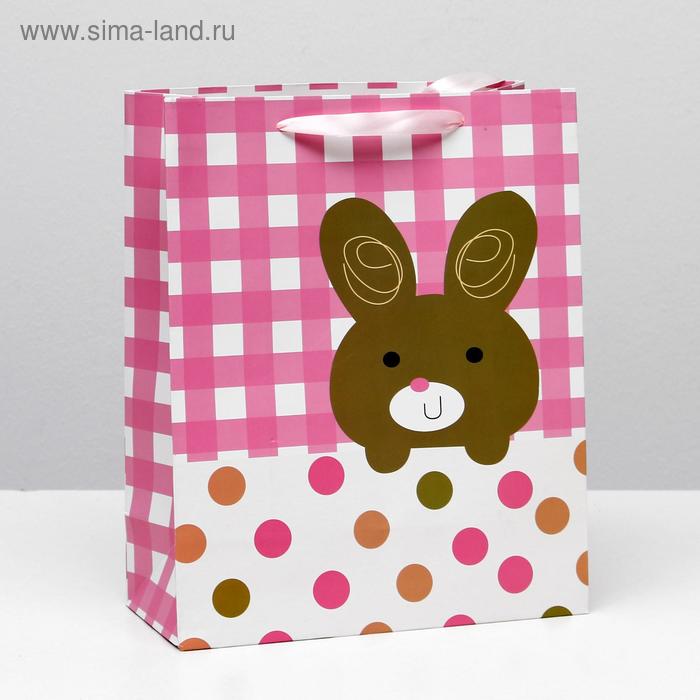 Пакет ламинированный, 26 x 32 x 12 см
Пакет ламинированный, 26 x 32 x 12 см