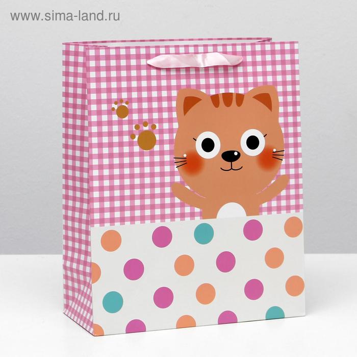 Пакет ламинированный, 26 x 32 x 12 см
Пакет ламинированный, 26 x 32 x 12 см