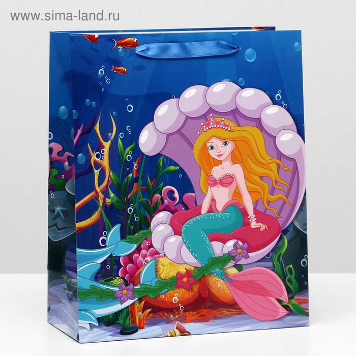 Пакет ламинированный, 26 x 32 x 12 см 
Пакет ламинированный, 26 x 32 x 12 см