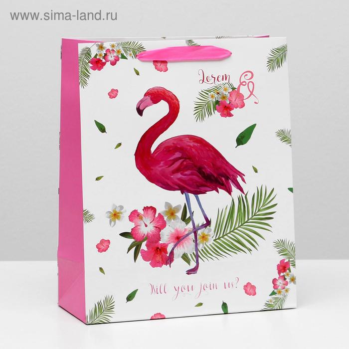 Пакет ламинированный, 26 x 32 x 12 см
Пакет ламинированный, 26 x 32 x 12 см