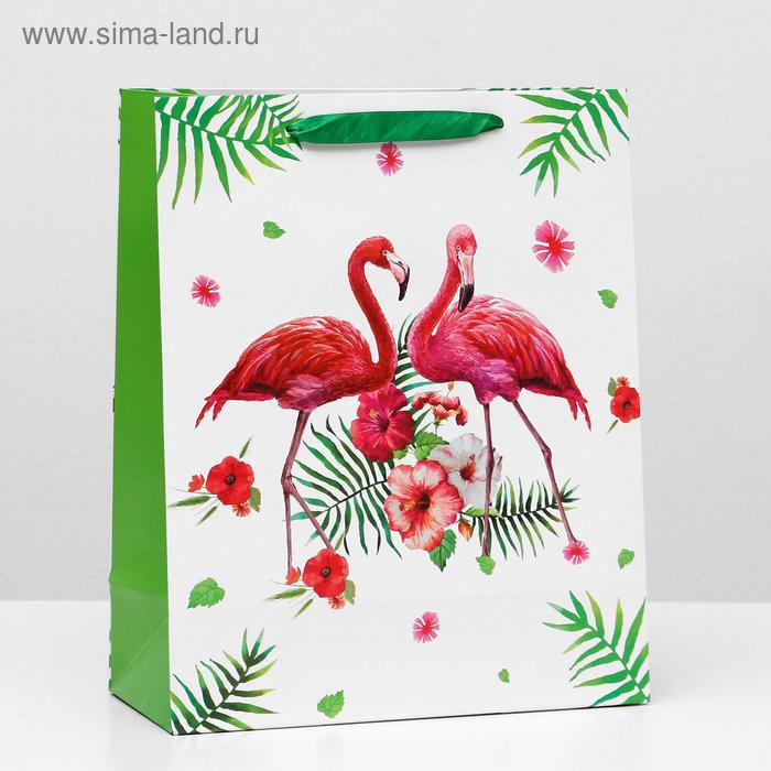 Пакет ламинированный, 26 x 32 x 12 см
Пакет ламинированный, 26 x 32 x 12 см