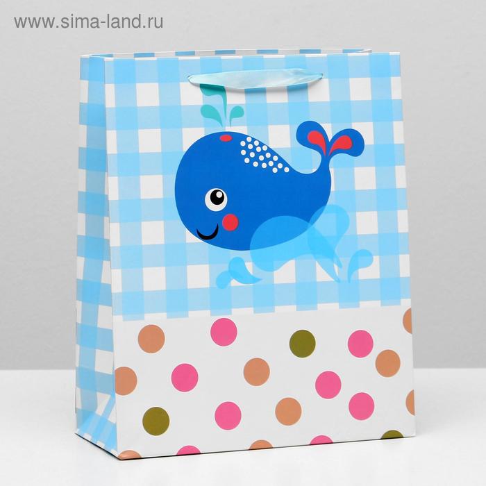 Пакет ламинированный, 26 x 32 x 12 см
Пакет ламинированный, 26 x 32 x 12 см