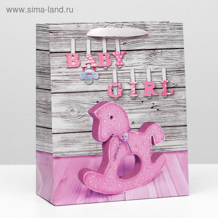 Пакет ламинированный, 26 x 32 x 12 см 
Пакет ламинированный, 26 x 32 x 12 см